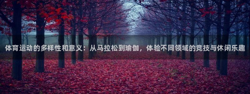 vsport体育官网下载平台注册要钱吗安全吗：体育运