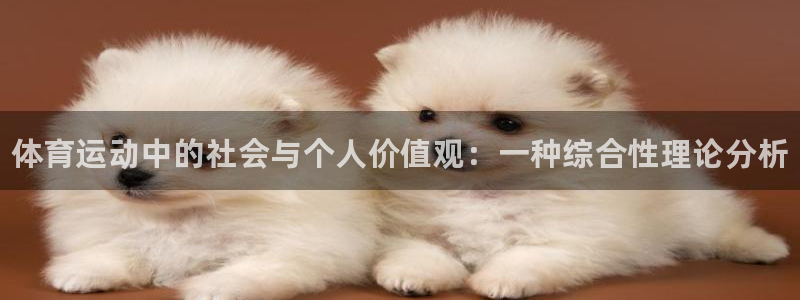 vsport体育官方正版app集团E.ON：体育运动