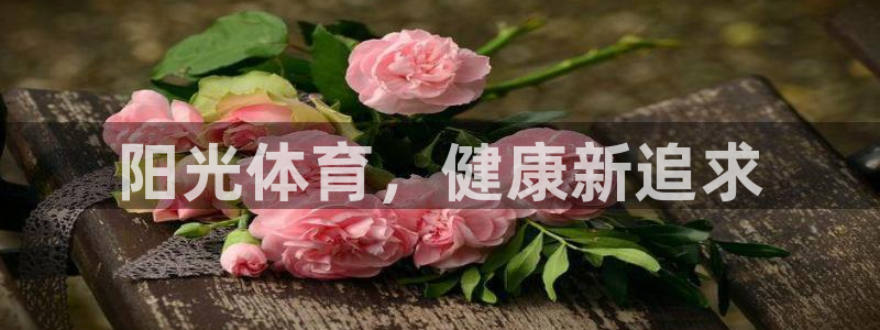 vsport体育官方正版app集团简介：阳光体育，健