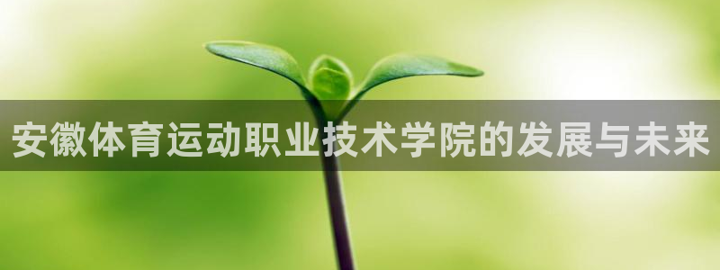 vsport体育官方正版app官方：安徽体育运动职业