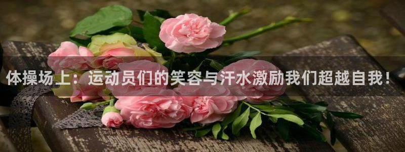 vsport体育官方正版app娱乐首页网站大全：体操