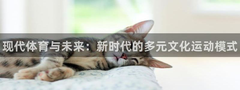 vsport体育官方集团官网：现代体育与未来：新时代