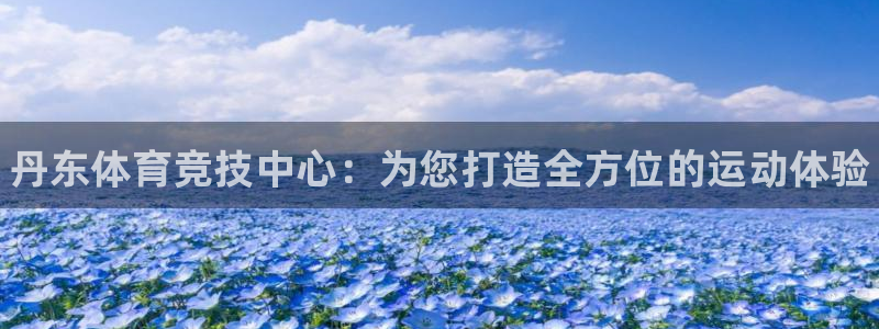 vsport体育官方正版app娱乐：丹东体育竞技中心