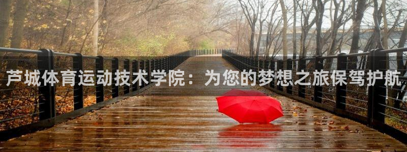 vsport体育官方正版app官方：芦城体育运动技术