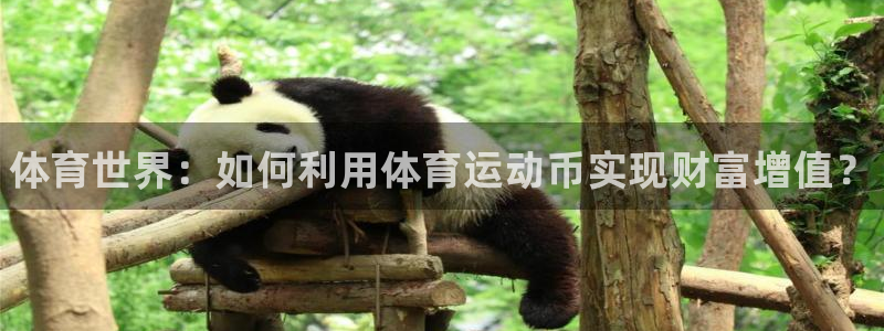 vsport体育官网下载是干嘛的公司：体育世界：如何