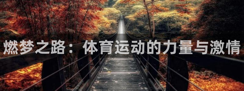 海南vsport体育官网下载：燃梦之路：体育运动的力