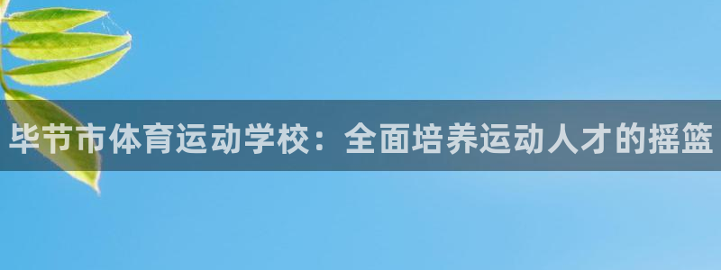 vsport体育官网下载软件：毕节市体育运动学校：全