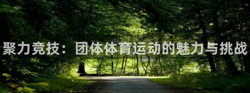 vsport体育官方正版app新能源：聚力竞技：团体