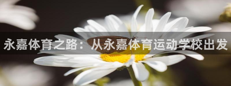 vsport体育官网下载招商电话是多少啊：永嘉体育之