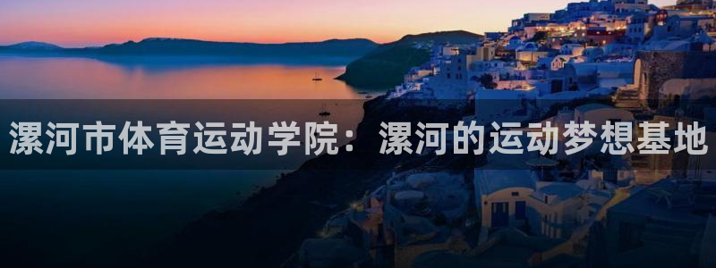 vsport体育官网下载平台是正规平台吗：漯河市体育