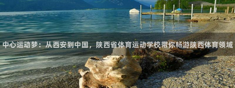 vsport体育官网下载平台注册要钱吗：中心运动梦：
