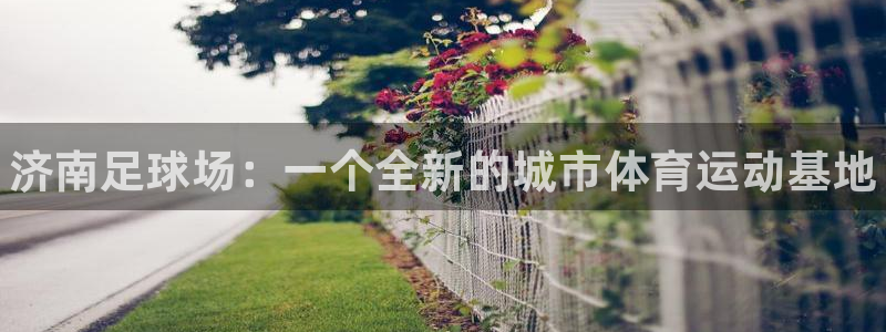 vsport体育官网下载平台是正规平台吗知乎：济南足