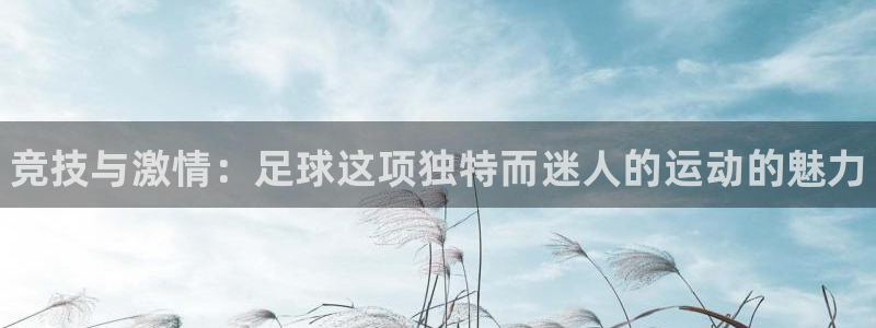 vsport体育官方正版app娱乐：竞技与激情：足球