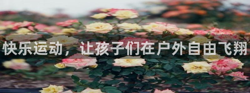 vsport体育官方正版app集团logo：快乐运动