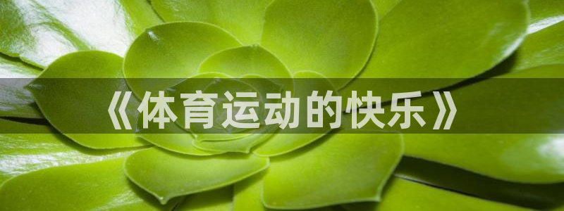 vsport体育官方正版app集团logo：《体育运