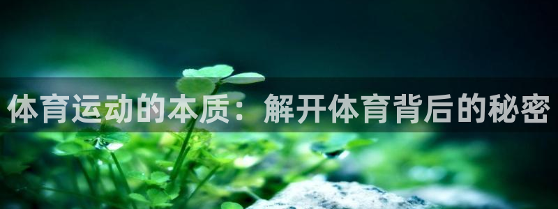 vsport体育官网下载招商电话是多少啊：体育运动的本质：解