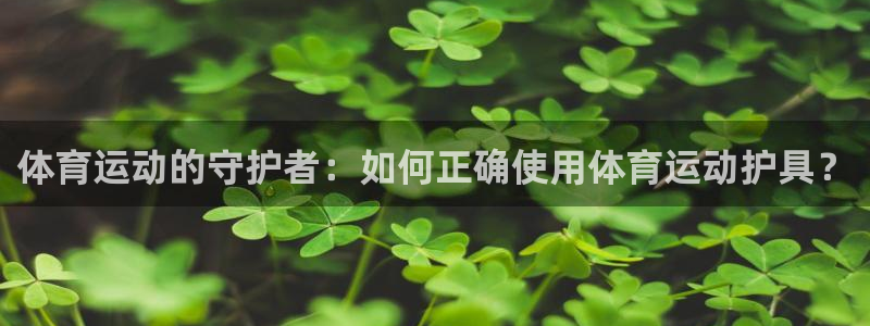 vsport体育官方正版app娱乐首页官网下载：体育运动的守