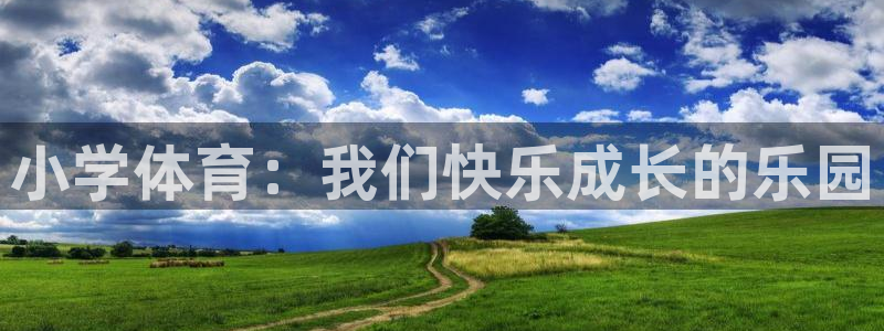 vsport体育官网下载平台注册流程视频：小学体育：