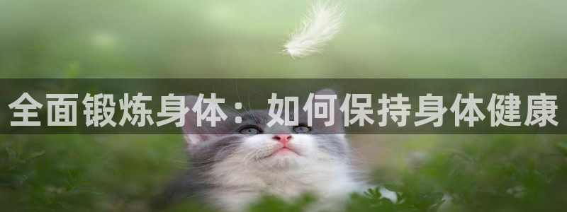 vsport体育官方正版app代理