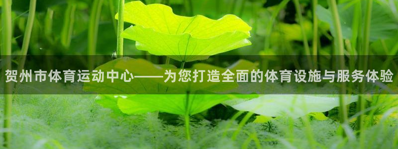 vsport体育官网下载招商电话号码查询是多少