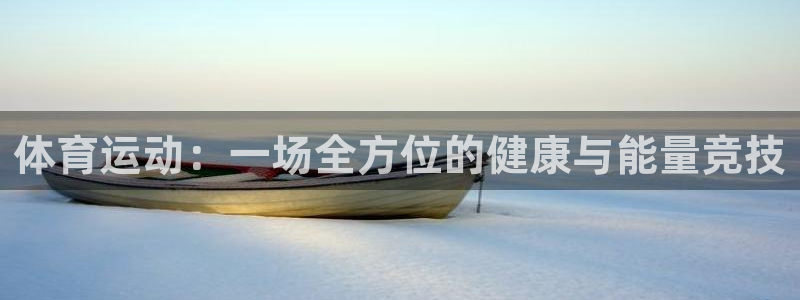 vsport体育官方正版app娱乐代理怎么样：体育运动：一场