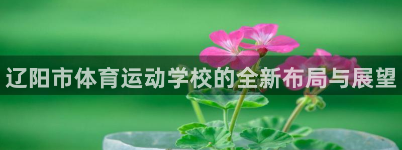 vsport体育官方正版app娱乐是那个系列的台子：辽阳市体