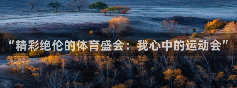 vsport体育官网下载招商电话是多少号码