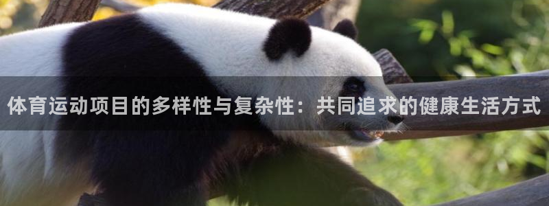 德国vsport体育官方正版app集团