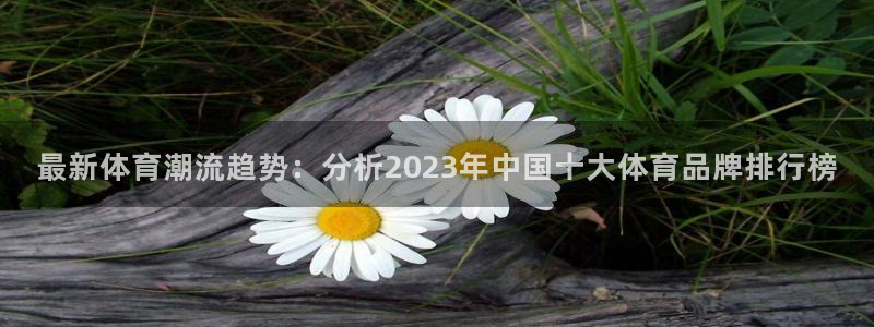vsport体育官网下载开户：最新体育潮流趋势：分析
