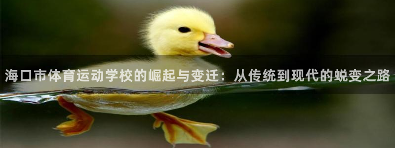 vsport体育官网下载平台假的吗是真的吗吗：海口市
