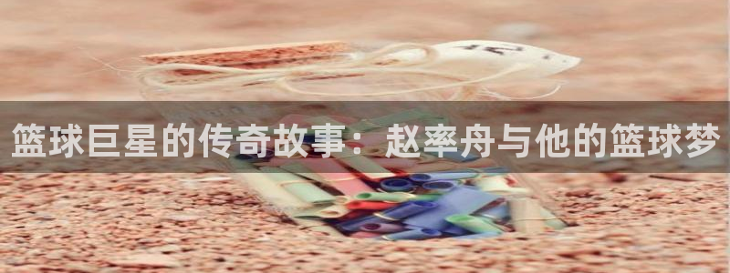 vsport体育官网下载平台注册要钱吗：篮球巨星的传