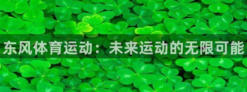 vsport体育官方正版app娱乐首页网站大全