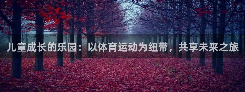 vsport体育官网下载平台APP:儿童成长的乐园:以体育运