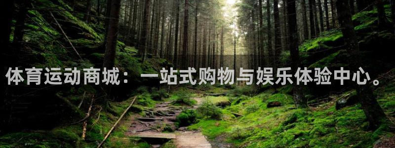 vsport体育官方正版app集团E.ON