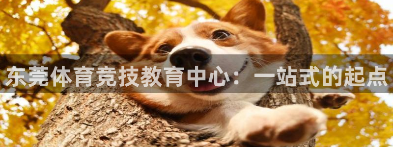 vsport体育官方正版app娱乐下载：东莞体育竞技教育中心