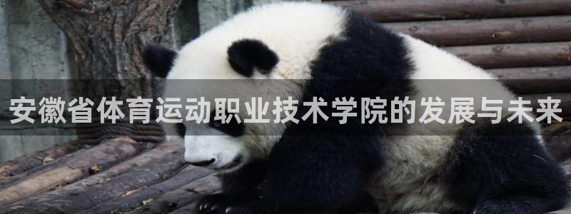 vsport体育官方正版app集团官网网址：安徽省体育运动职