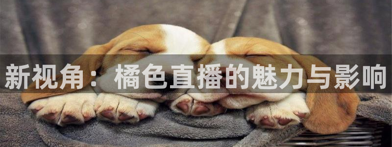 so米体育篮球直播nba：新视角：橘色直播的魅力与影响