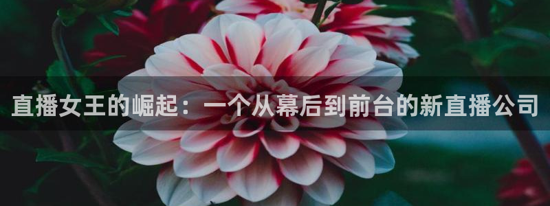 so米体育直播app：直播女王的崛起：一个从幕后到前台的新直播公司
