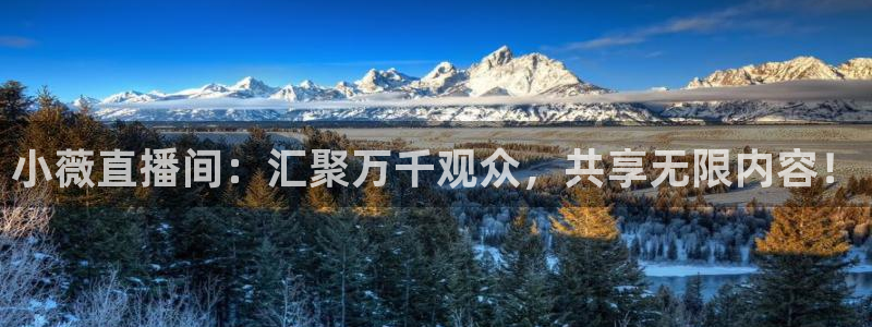 so米直播体育平台：小薇直播间：汇聚万千观众，共享无限内容！