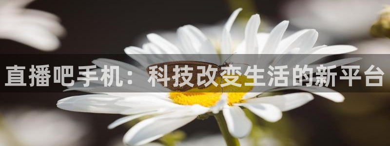 so米体育平台直播：直播吧手机：科技改变生活的新平台
