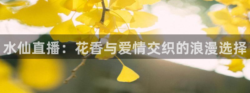 so米直播：水仙直播：花香与爱情交织的浪漫选择