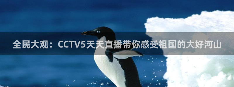 so米体育网页版：全民大观：CCTV5天天直播带你感受祖国的大好河山