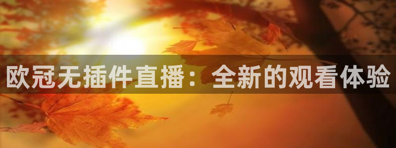 so米体育app下载：欧冠无插件直播：全新的观看体验