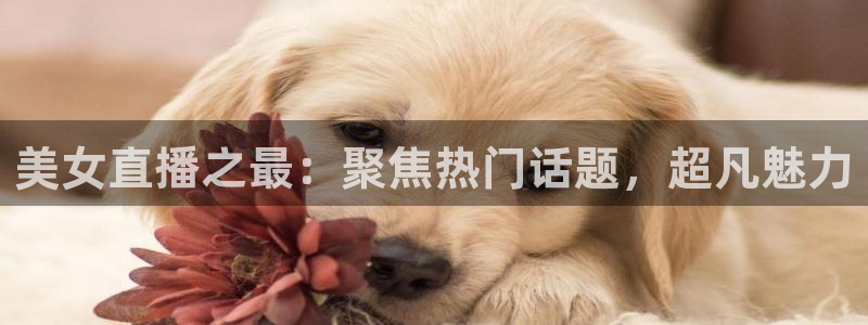 so米体育直播视频：美女直播之最：聚焦热门话题，超凡魅力