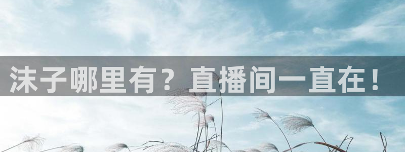 so米体育直播吧：沫子哪里有？直播间一直在！