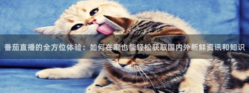 so米体育直播平台：番茄直播的全方位体验：如何在家也能轻松获取国内外新鲜资讯和知识
