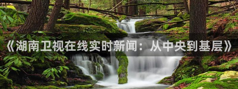 so米直播篮球nba直播：《湖南卫视在线实时新闻：从中央到基层》