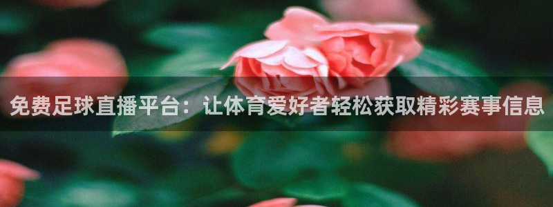 so米直播：免费足球直播平台：让体育爱好者轻松获取精彩赛事信息