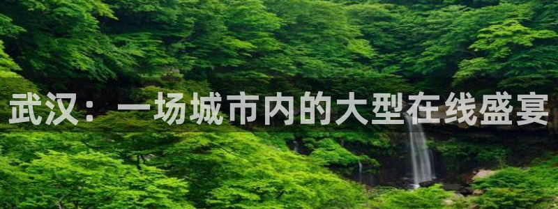 so米篮球体育直播nba：武汉：一场城市内的大型在线盛宴
