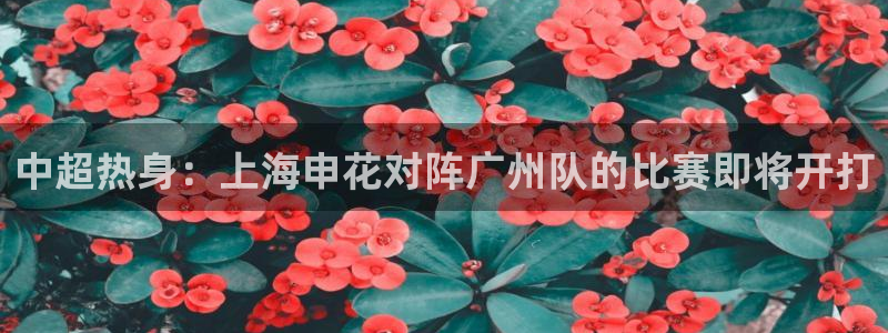 so米直播足球比赛：中超热身：上海申花对阵广州队的比赛即将开打